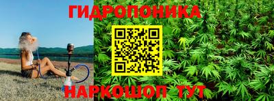 дмт Будённовск