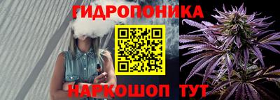 дмт Будённовск