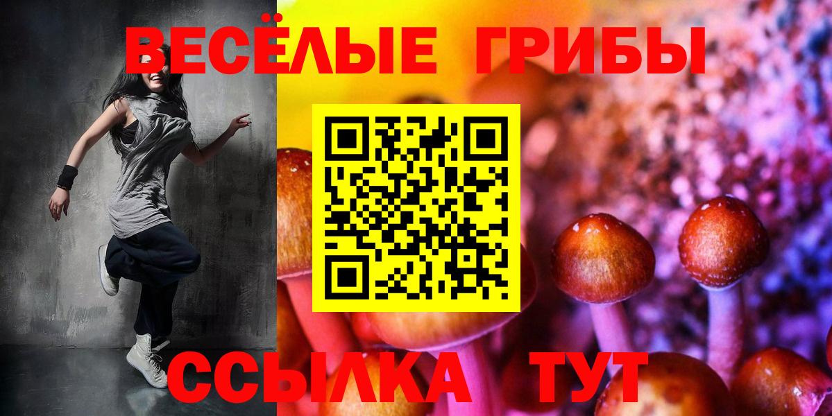 Псилоцибиновые грибы мицелий  Вход с VPN  где купить наркотик  Магадан  Псилоцибиновые грибы мицелий 